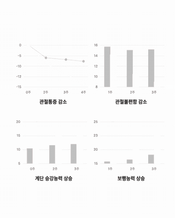 MSM 인체적용시험 그래프